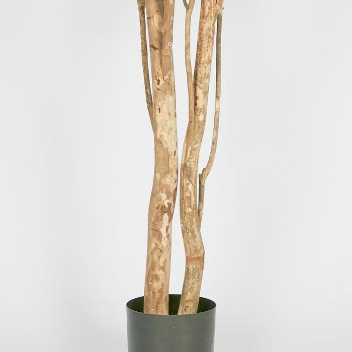 Olive Green Multi Stem Tree 280cm