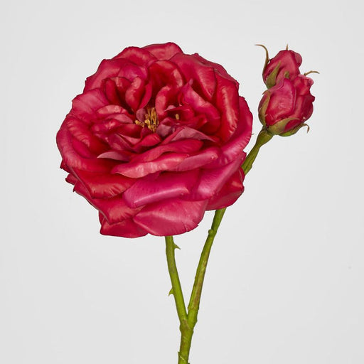 Real Touch Angelina Rose Spray Dark Pink 59cm - Pack of 8