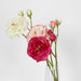 Real Touch Angelina Rose Spray Dark Pink 59cm - Pack of 8