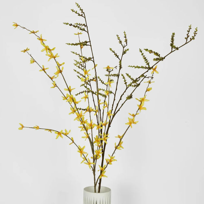 Stachyurus Green Spray 103cm - Pack of 12