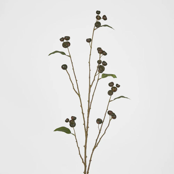 Gumnut Brown Spray 112cm - Pack of 12