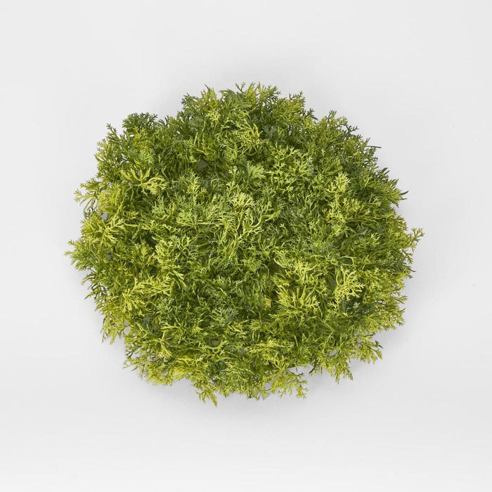 Moss Matt Small Round Green - Pack of 6