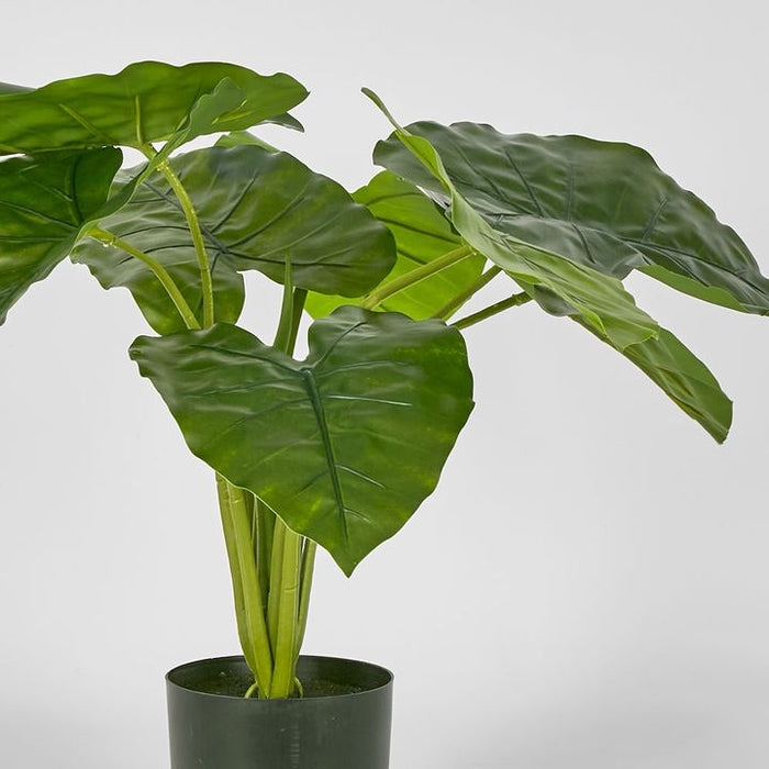 Potted Real Touch Philodendron 50cm Set of 2