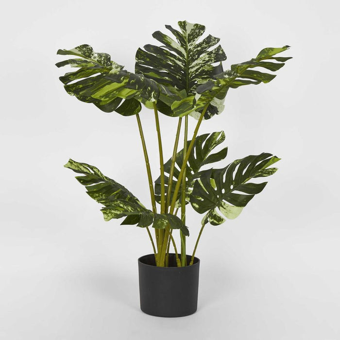 Variegated Real Touch Monstera Green 75cm