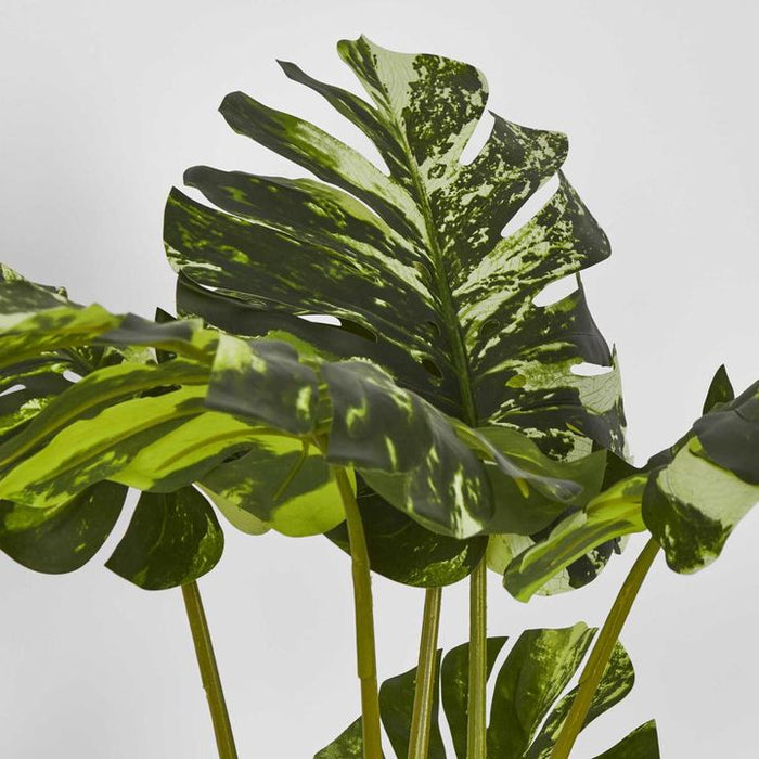 Variegated Real Touch Monstera Green 75cm