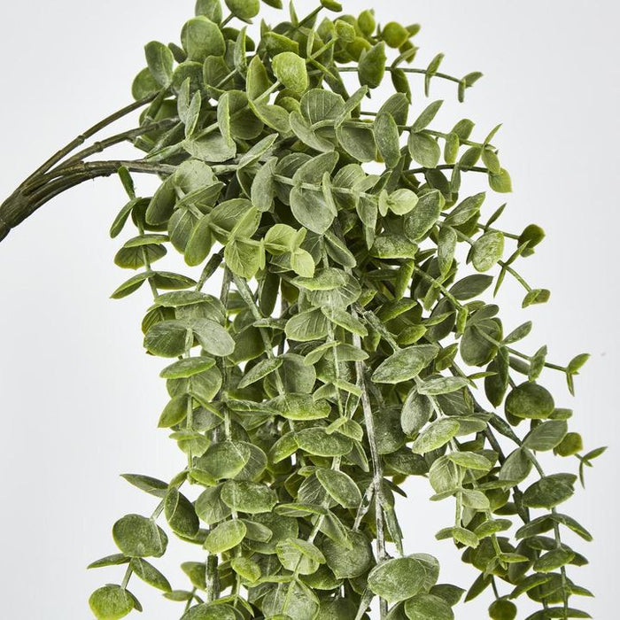 Eucalyptus Hanging Bush Green 60cm – Pack of 12