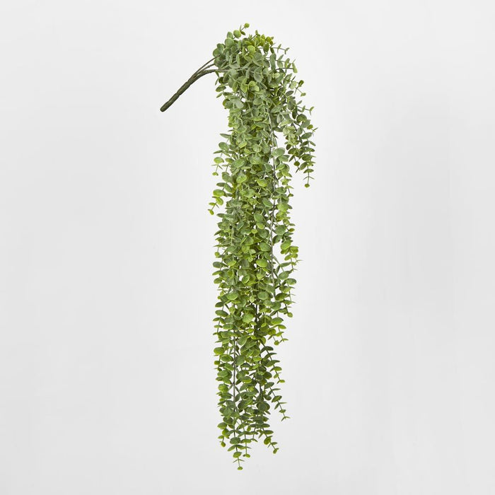 Eucalyptus Hanging Bush Green 60cm – Pack of 12