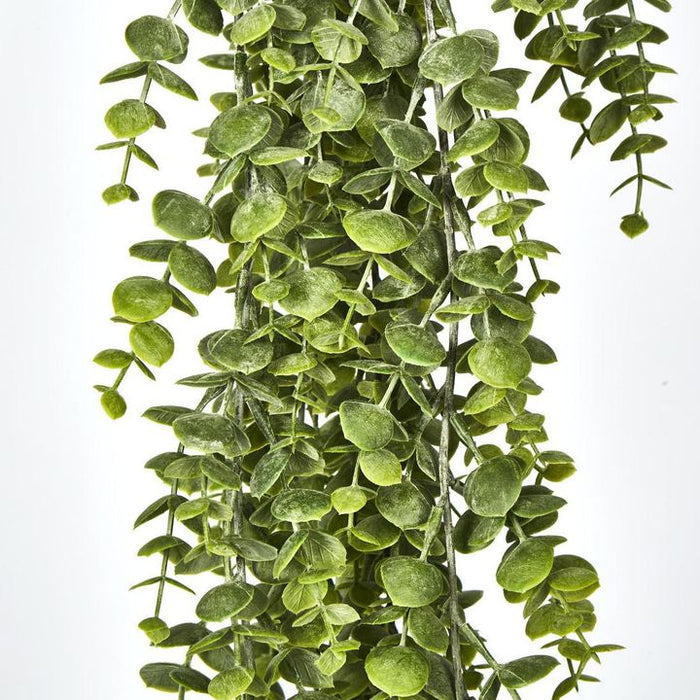 Eucalyptus Hanging Bush Green 60cm – Pack of 12