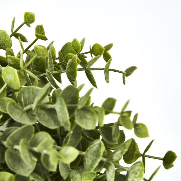 Eucalyptus Hanging Bush Green 60cm – Pack of 12