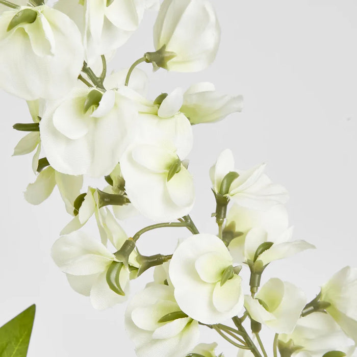 Wisteria Branch White – Pack of 6