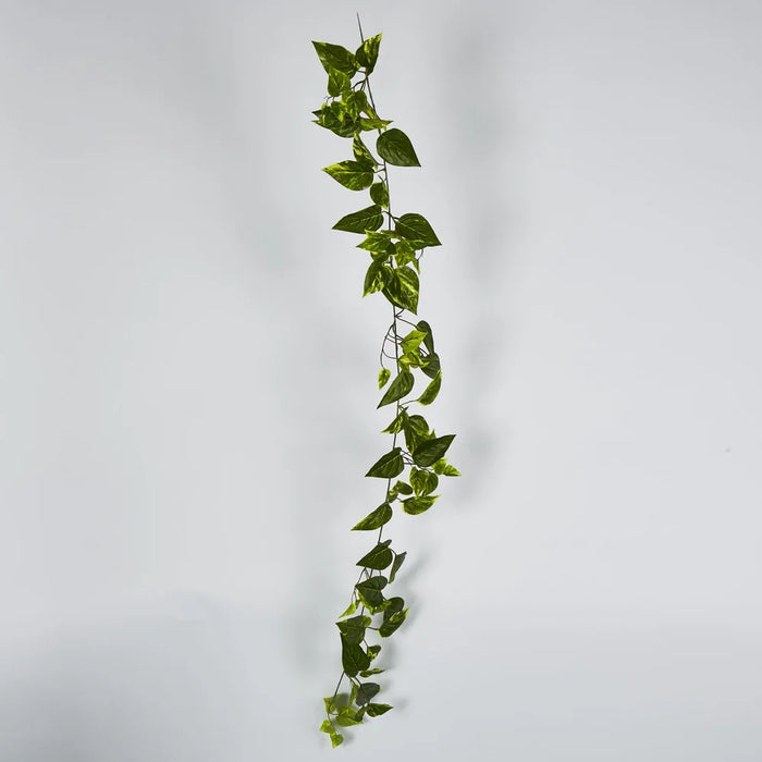 Pothos Garland UV Resistant Yellow 152cm – Pack Of 6