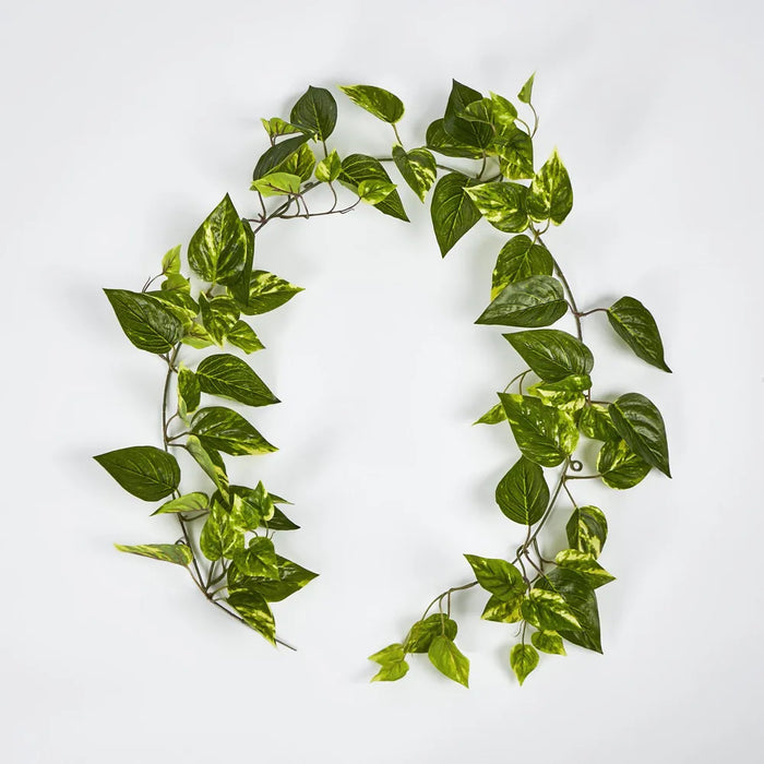 Pothos Garland UV Resistant Yellow 152cm – Pack Of 6