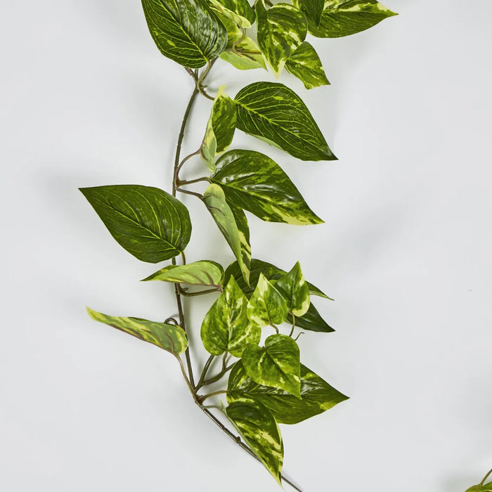 Pothos Garland UV Resistant Yellow 152cm – Pack Of 6