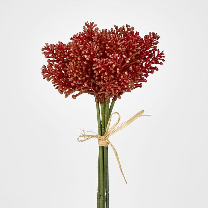 Pine Berry 20cm Orange Pack of 36