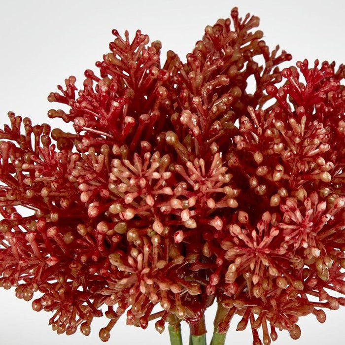 Pine Berry 20cm Orange Pack of 36