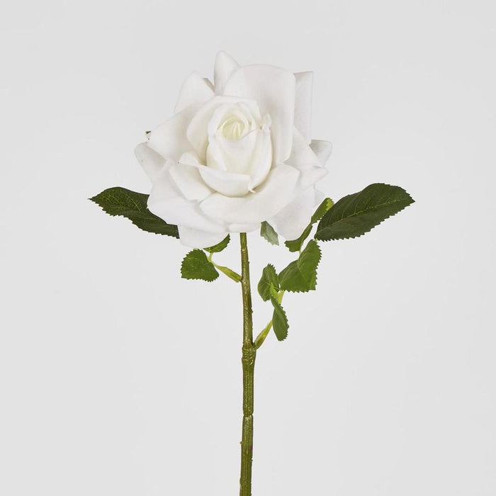 Walter Real Touch Rose Stem Ivory
61cm - Pack of 24