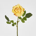 Walter Real Touch Rose Stem Yellow
61cm - Pack of 24