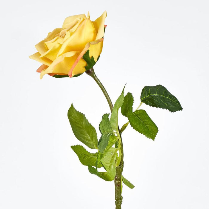 Walter Real Touch Rose Stem Yellow
61cm - Pack of 24