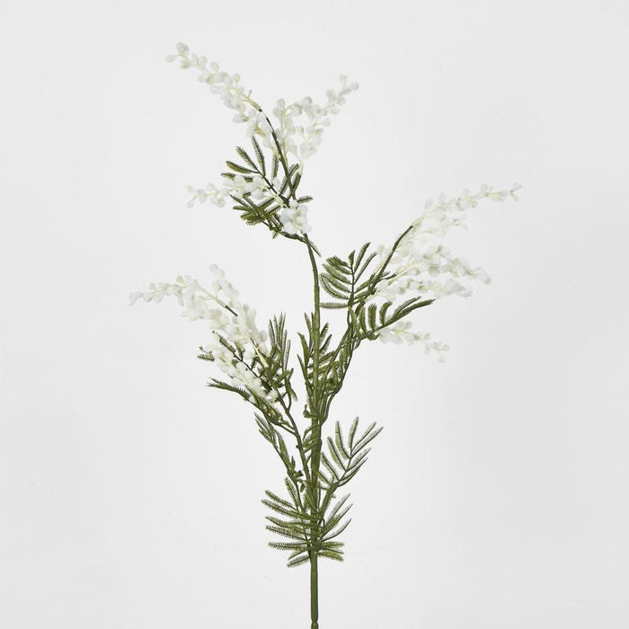 Australian Wattle 85cm White - Pack of 12