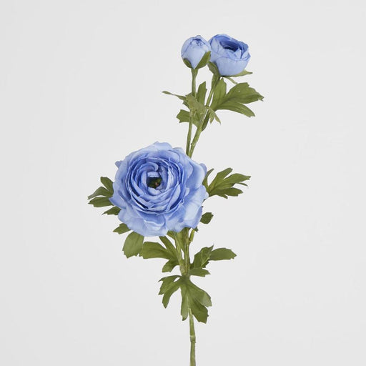 Ranunculus Spray x 3 Blue 72cm - Pack of 12