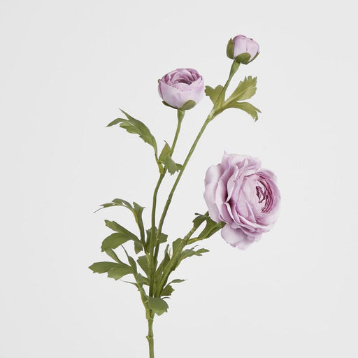 Ranunculus Spray x 3 Purple 72cm - Pack of 12