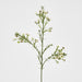 Wax Flower Cream 64cm - Pack of 12