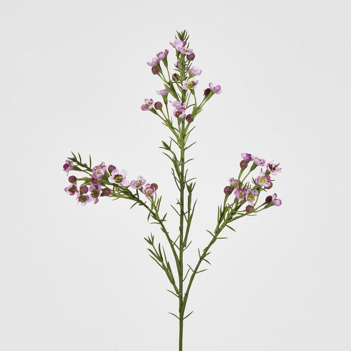 Wax Flower Lilac 64cm Purple - Pack of 12