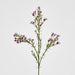 Wax Flower Lilac 64cm Purple - Pack of 12