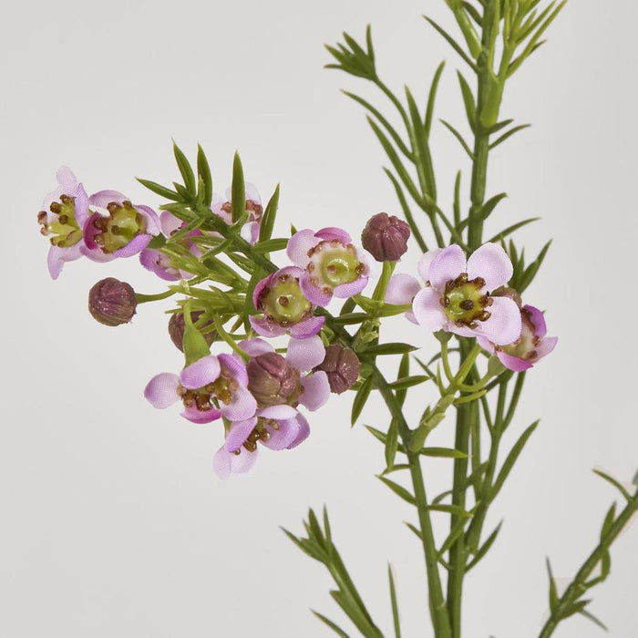 Wax Flower Lilac 64cm Purple - Pack of 12