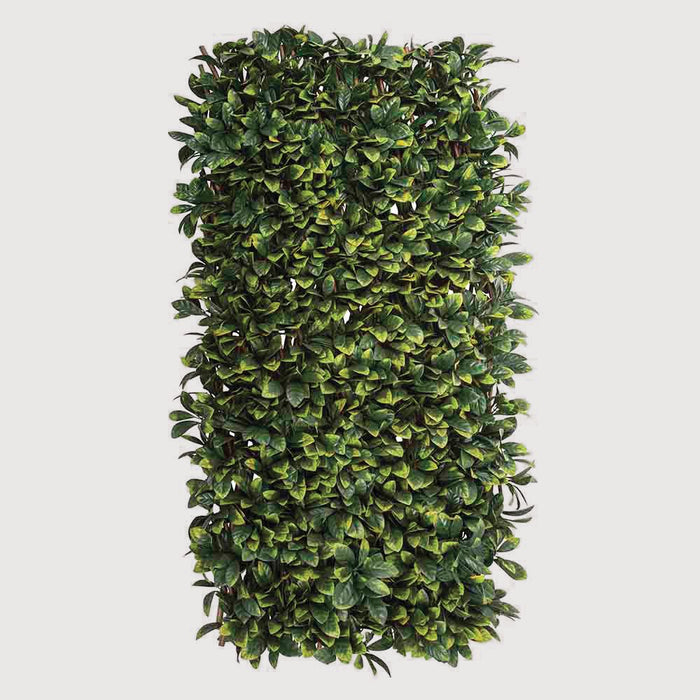 Laurel Screen UV Resistant 200cm x 100cm Set of 2