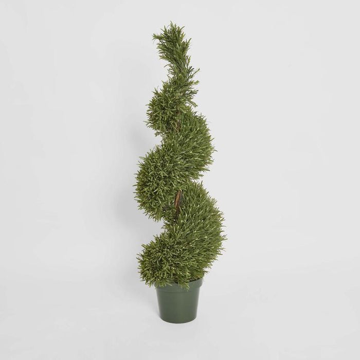 Rosemary Spiral Topiary Tree 120cm