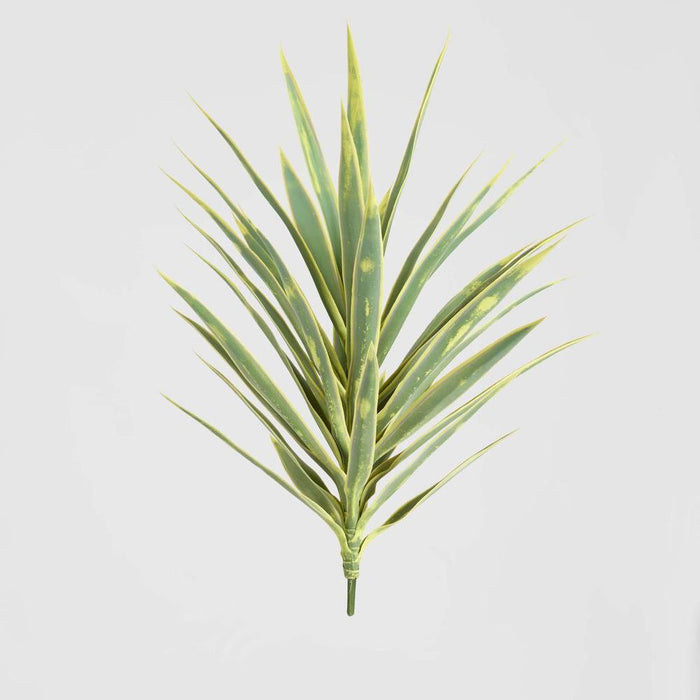 Yucca Head Green and Yellow 78cm