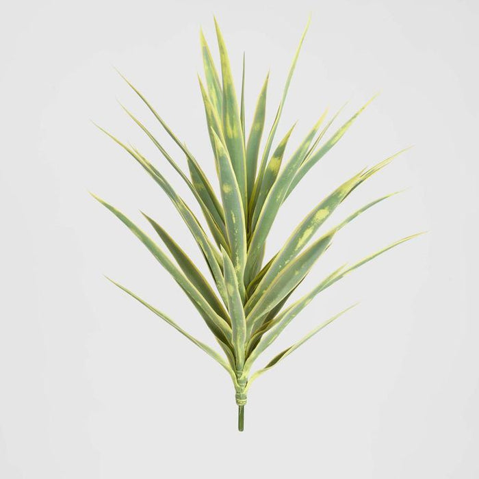 Yucca Head Green and Yellow 78cm