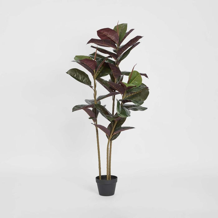 Rubber Tree Real Touch 145cm
