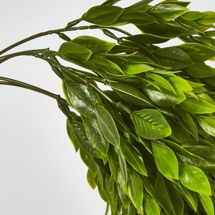 Hanging Ruscus Plant Green 56cm - Pack of 12