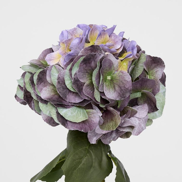 Real Touch Hydrangea Purple Purple 64cm Pack of 12
