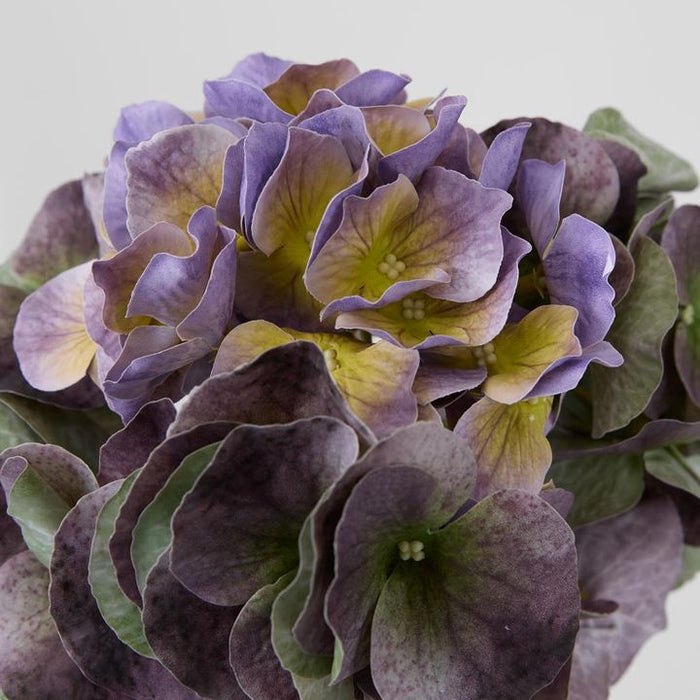 Real Touch Hydrangea Purple Purple 64cm Pack of 12