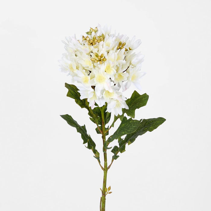 Agapanthus Stem White 95cm - Pack of 12