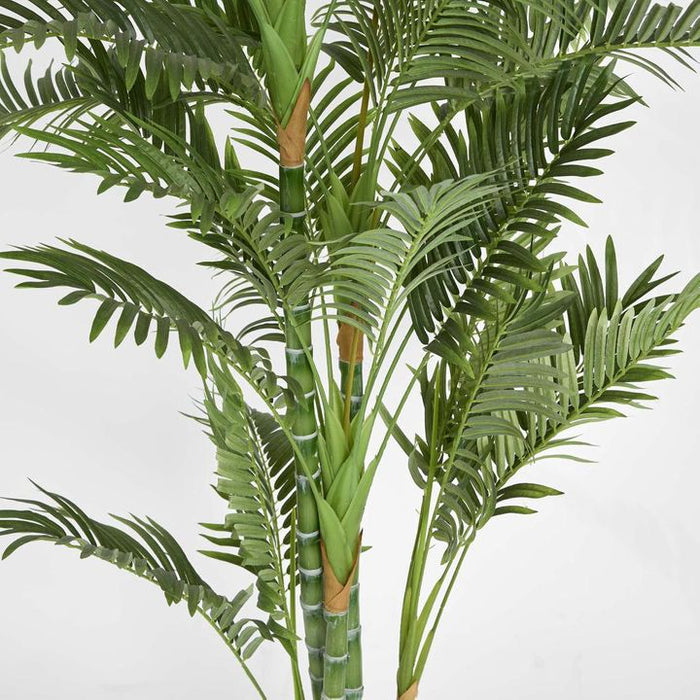 Parlour Palm Tree Twisted Trunk 180cm