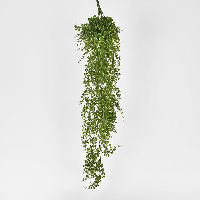 Maidenhair Fern Hanging Bush Green - Pack of 6