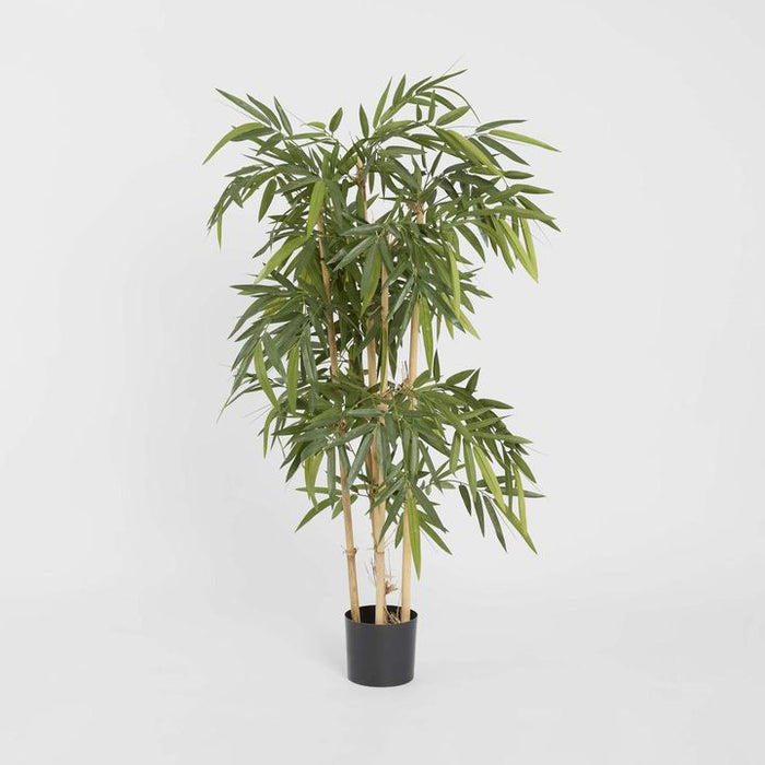 Bamboo Tree 120cm