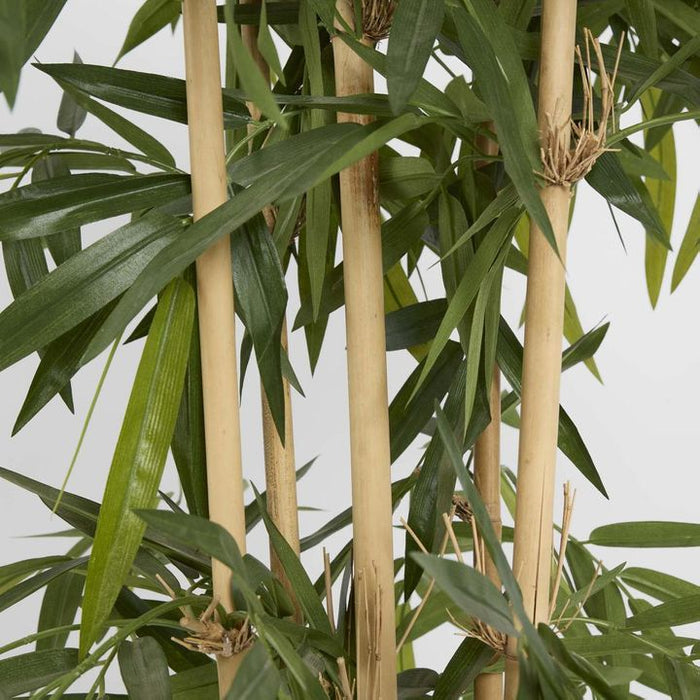Bamboo Tree 120cm