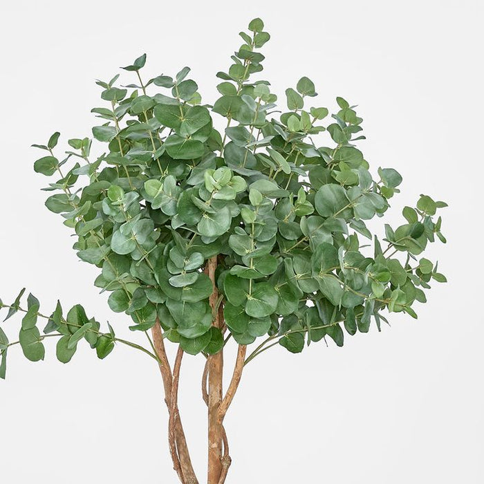 Eucalyptus Tree Green 160cm