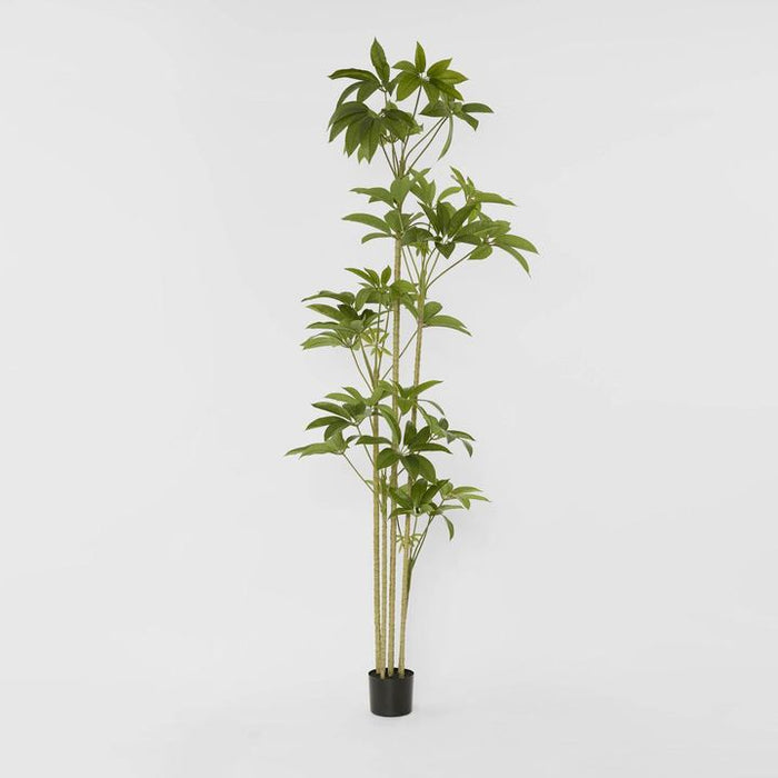 Real Touch Frangipani Tree Green 210cm