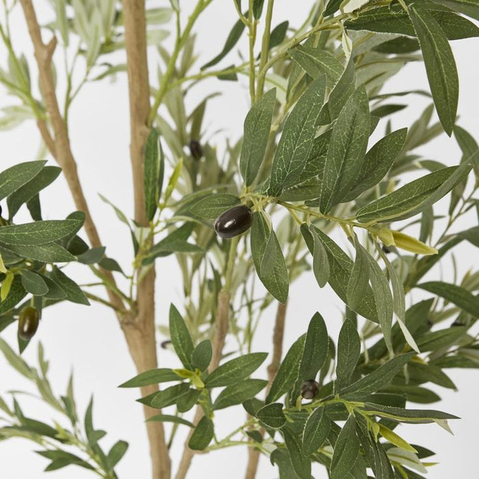 Verdant Olive Tree Green 180cm
