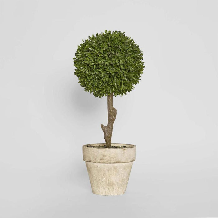 Boxwood Topiary 47cm Set of 2