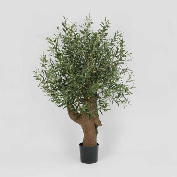 Olive Green Tree With Fruit 110cm