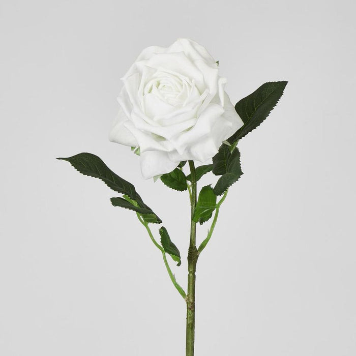 Walter Real Touch Rose Stem Winter White
61cm - Pack of 24