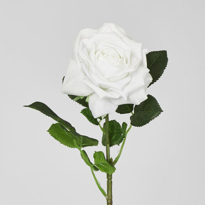 Walter Real Touch Rose Stem Winter White
61cm - Pack of 24