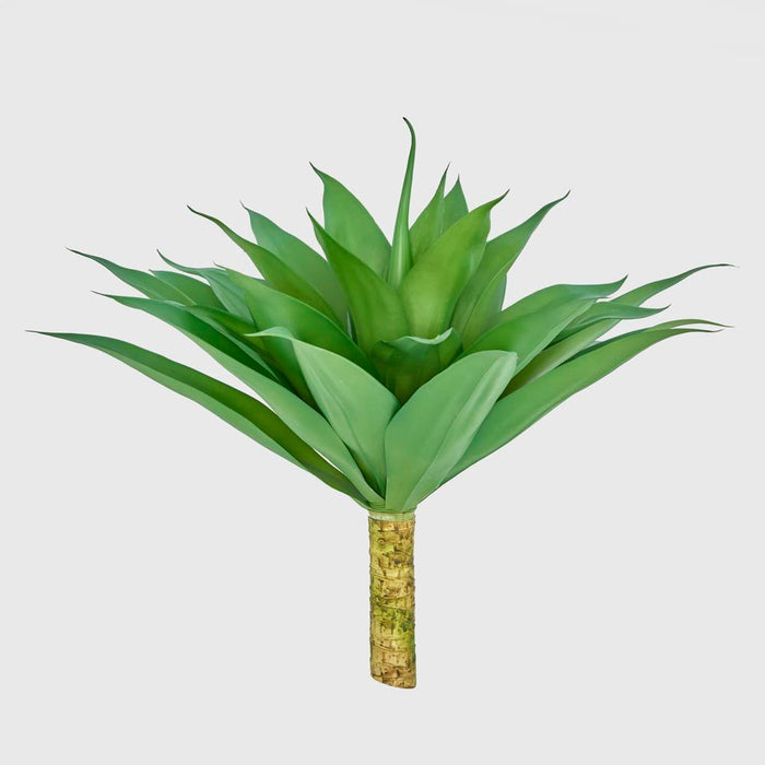 Giant Agave 62cm Green Pack of 4